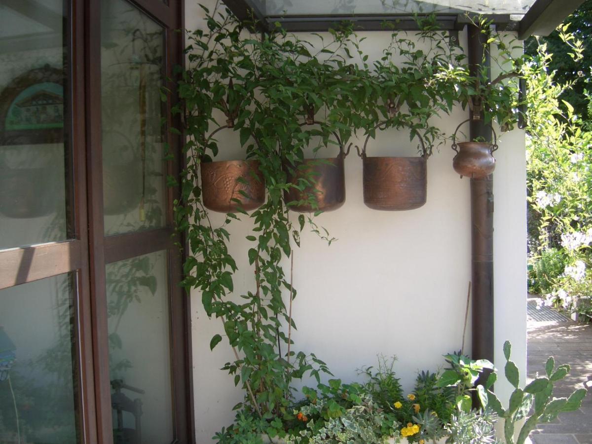 B&B Scaccia Pensieri Tarcento Exteriér fotografie